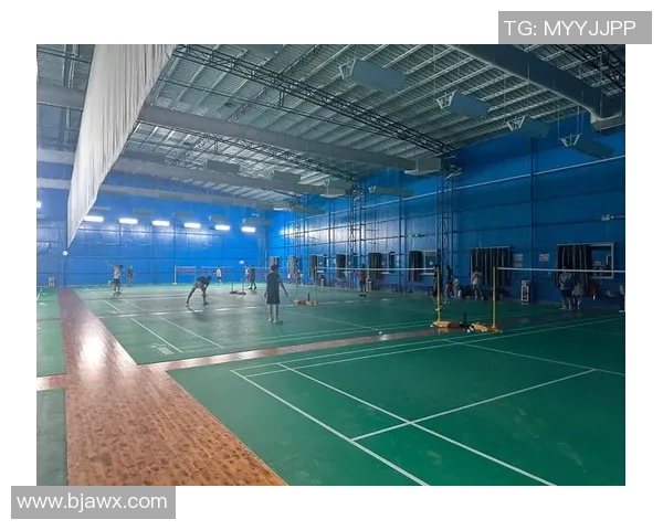 广州羽毛球队包夹战术解析及其在比赛中的应用与影响