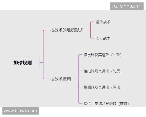 排球巨献：深入解析上海排球队员的个人技能与战术配合