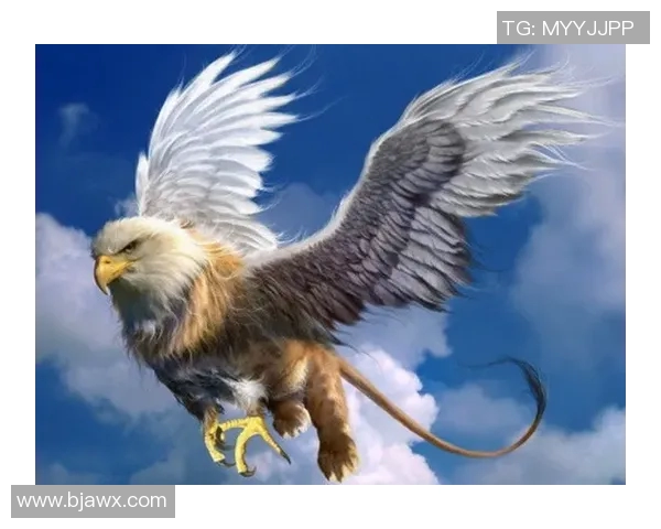 老鹰与狼的精彩对决视频集锦带你领略野生动物的生存智慧与力量较量