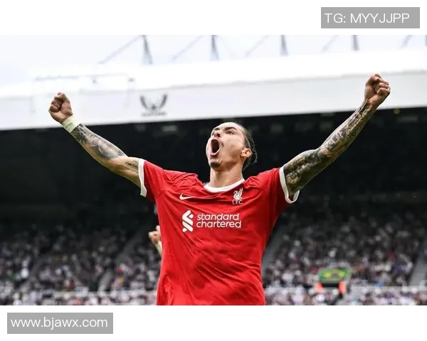 努涅斯的崛起与挑战：在足球世界中书写属于自己的传奇篇章