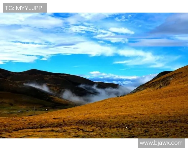 焦泊乔的成长之路与人生哲学探讨：从平凡到卓越的心灵旅程