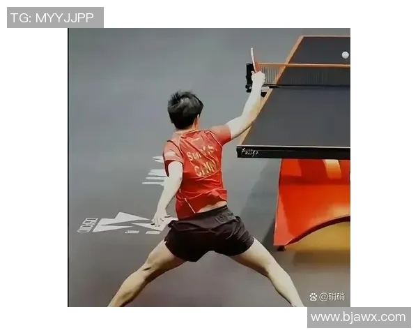 独家解析V5耐力表现对比及其在赛场上的影响因素分析MBA