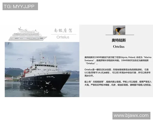 探索奥蓬达的魅力与历史深度揭示其在当代文化中的重要性与影响力