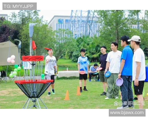 飞盘热潮下的成都飞盘队团队协作新模式探索与实践MBA