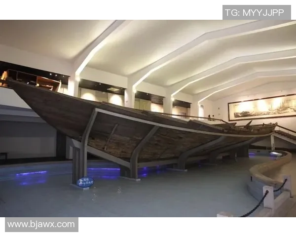 霍伊伦的传奇人生与科学探索之路：从学术到实践的跨越与启示