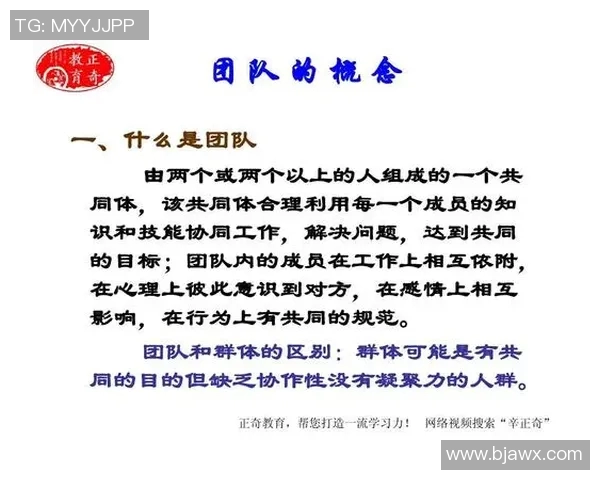 上海羽毛球队区域防守创新之路：重塑战术与团队协作的全新篇章